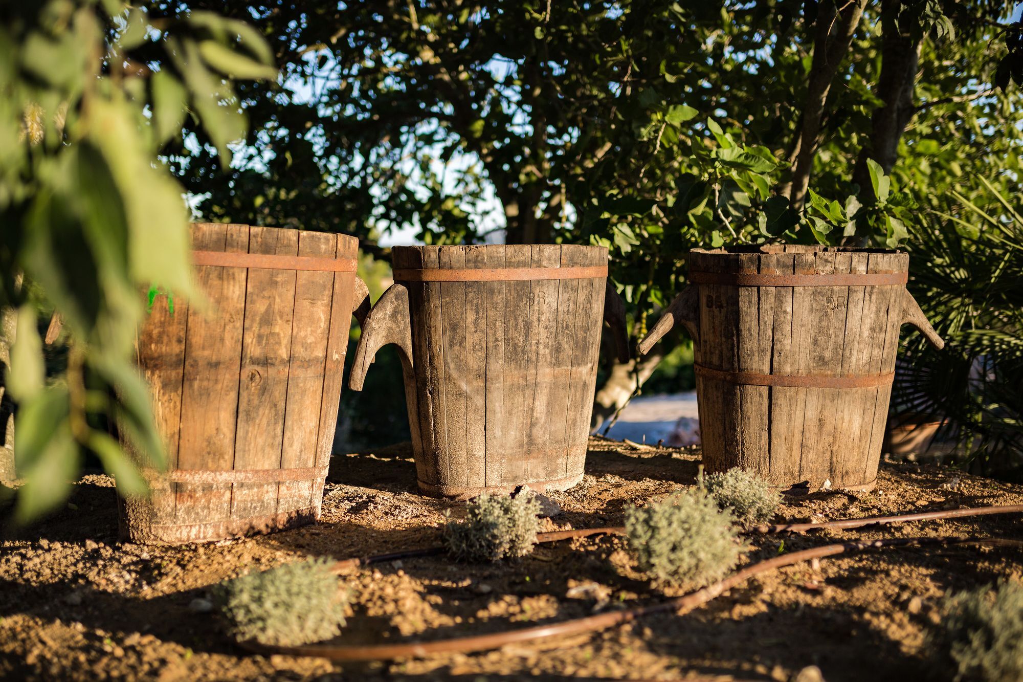 Agroturismo Ses Vistes Porreres Εξωτερικό φωτογραφία